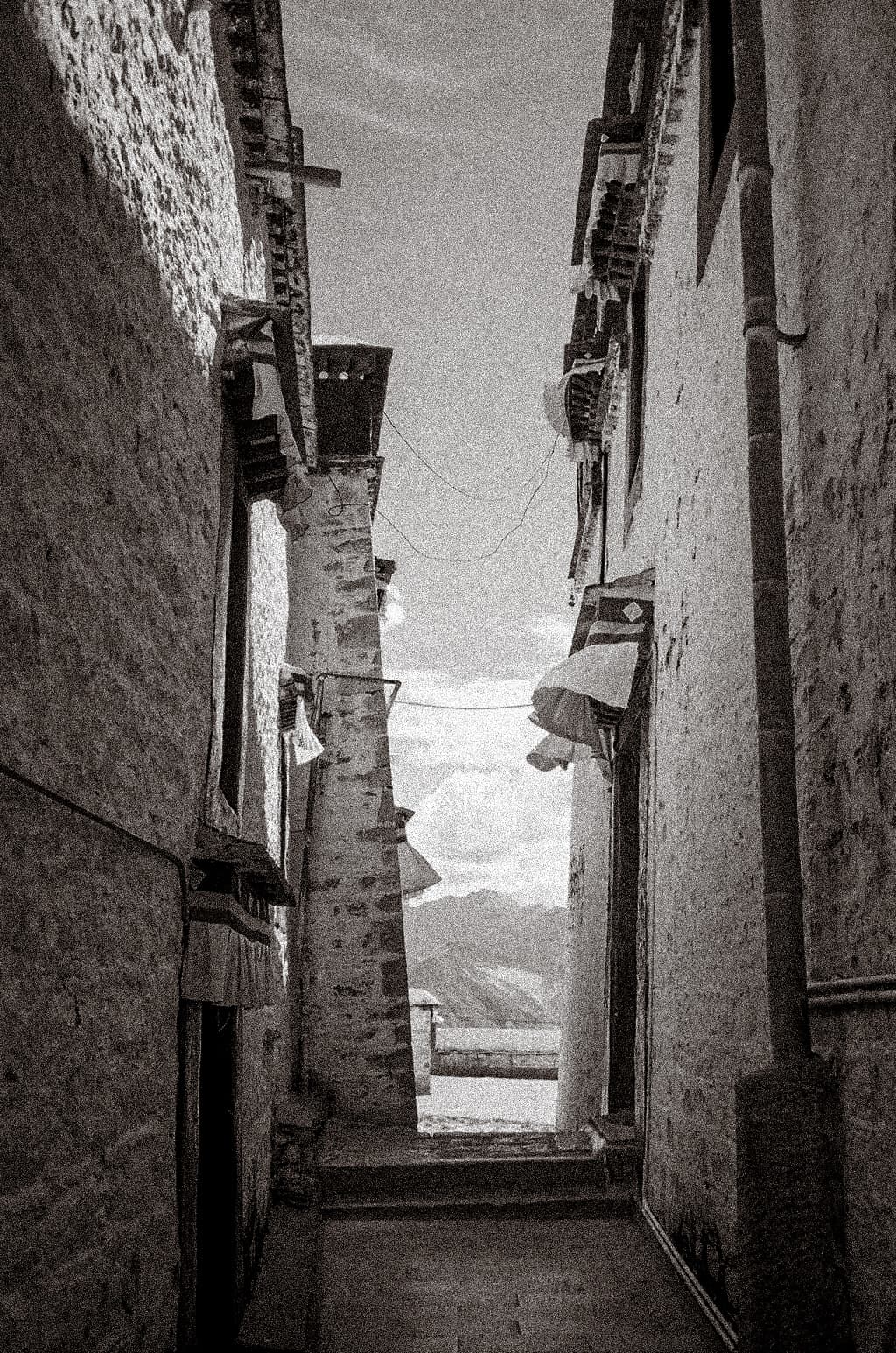 lhasa - 00