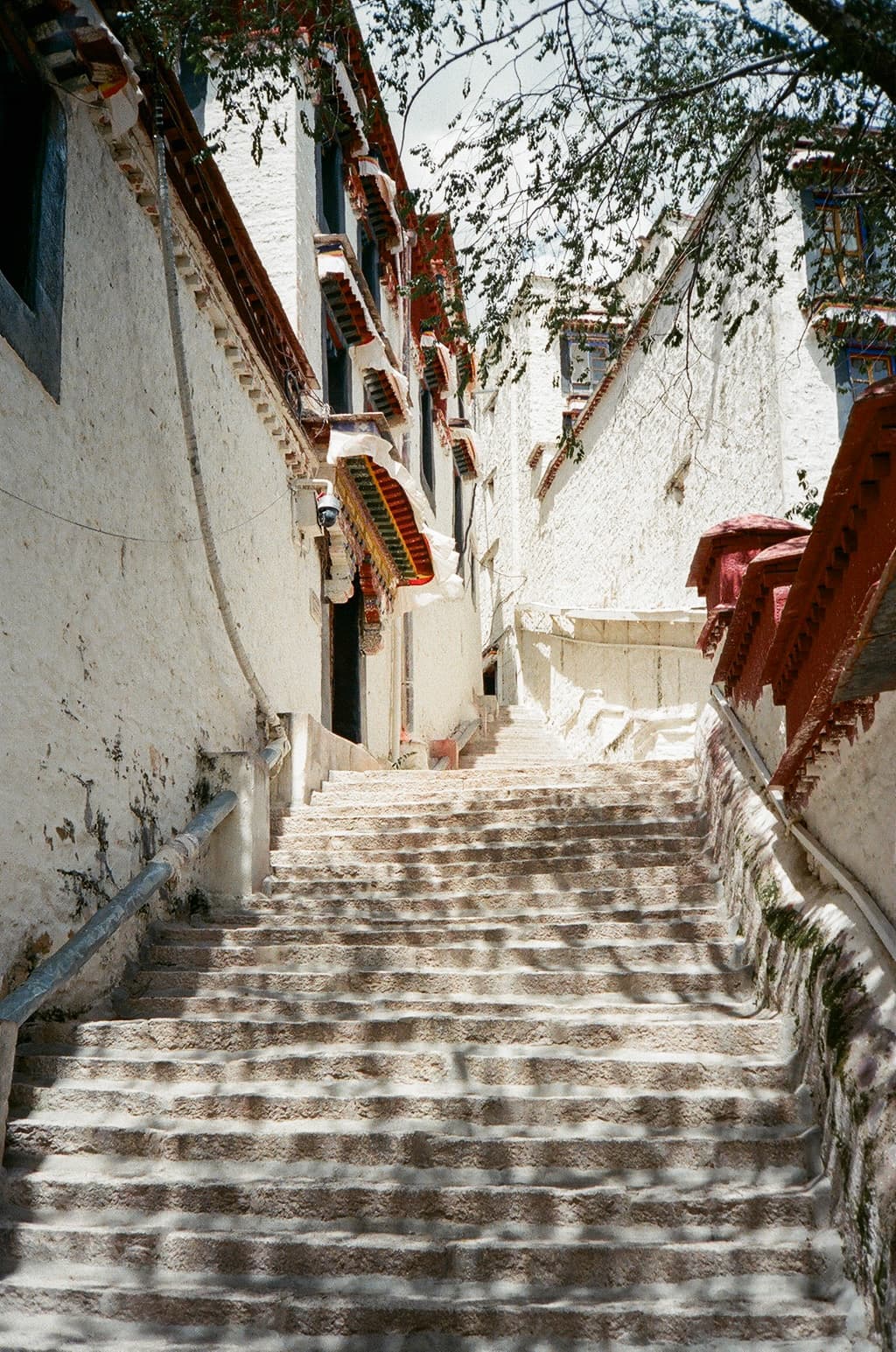 lhasa - 03