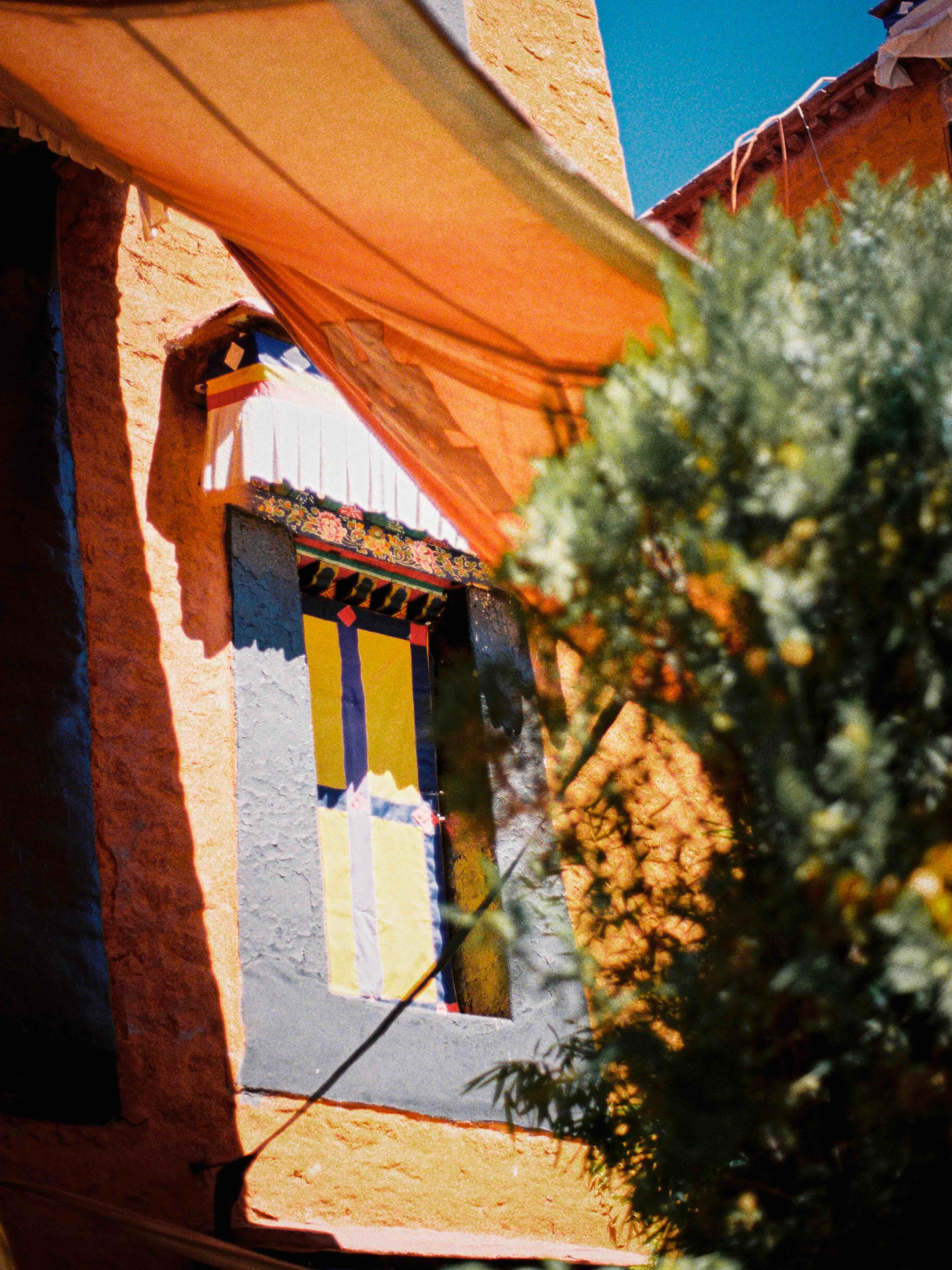 lhasa - 04-2