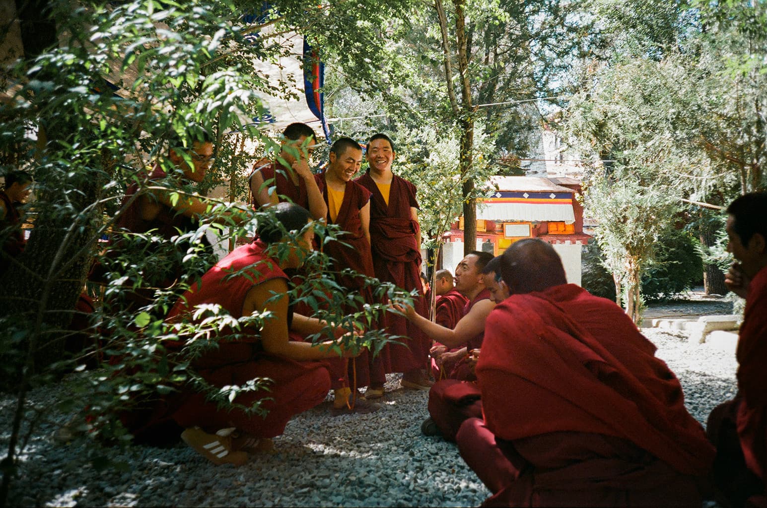 lhasa - 01