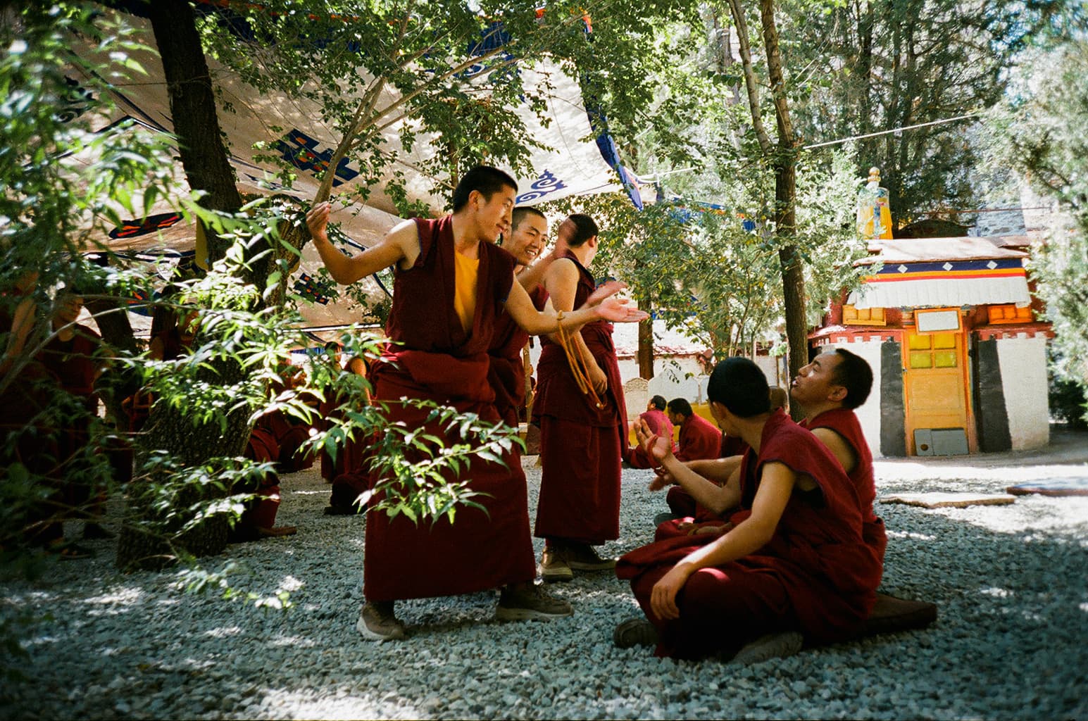 lhasa - 02