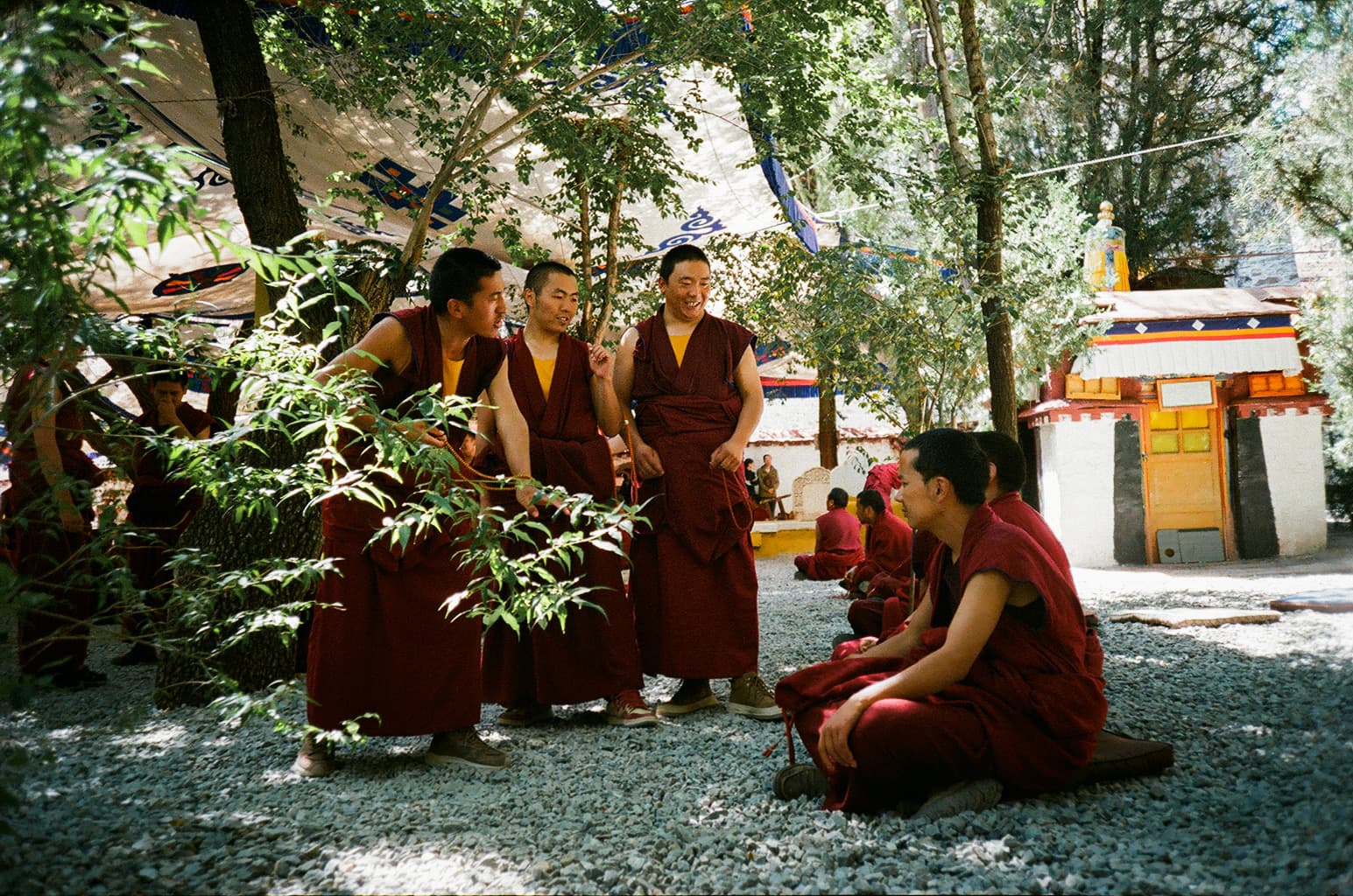 lhasa - 03