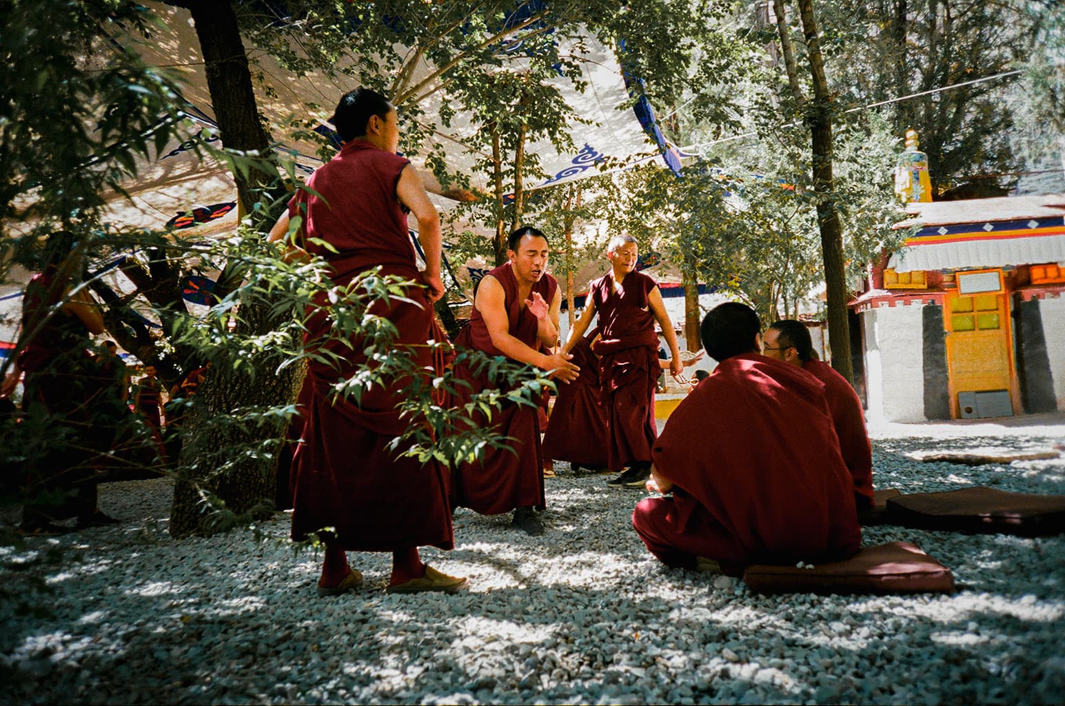lhasa - 04