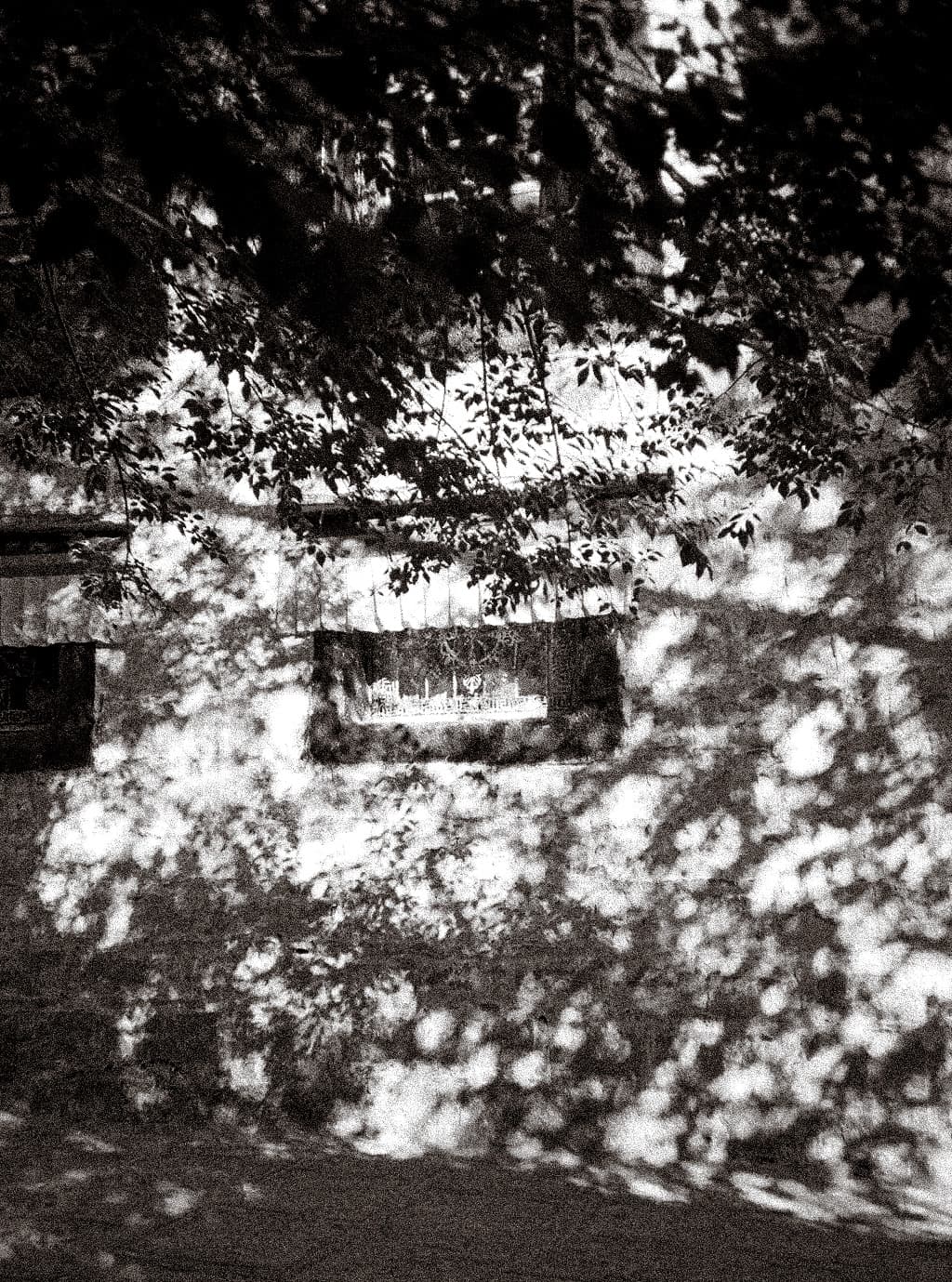 lhasa - 09