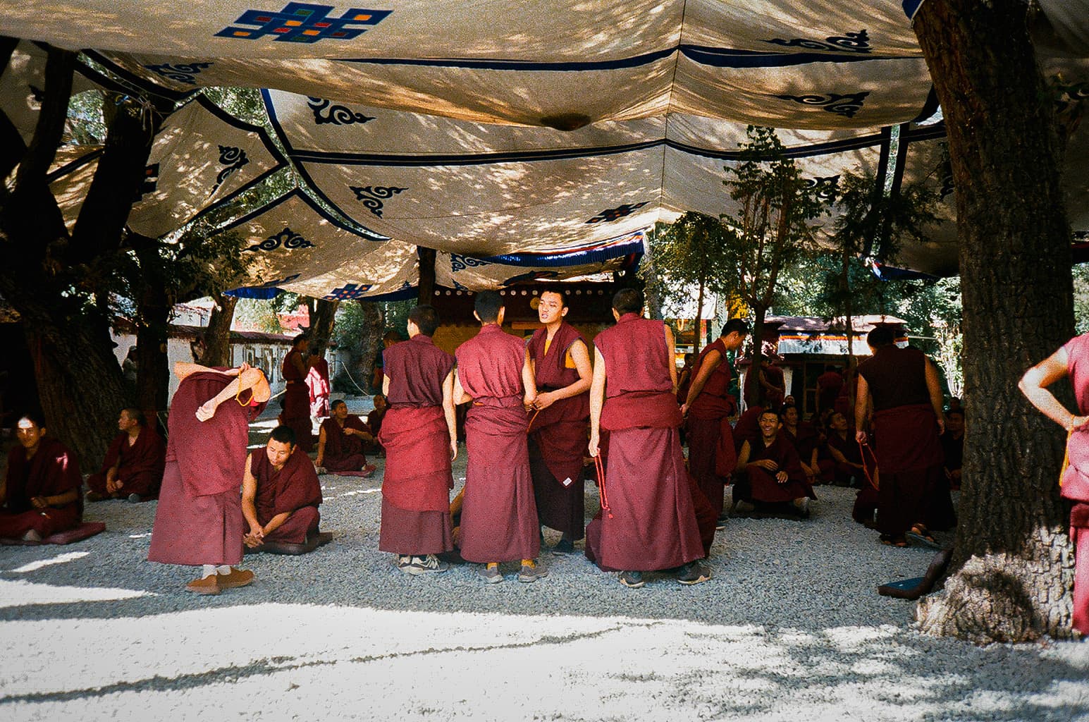 lhasa - 10