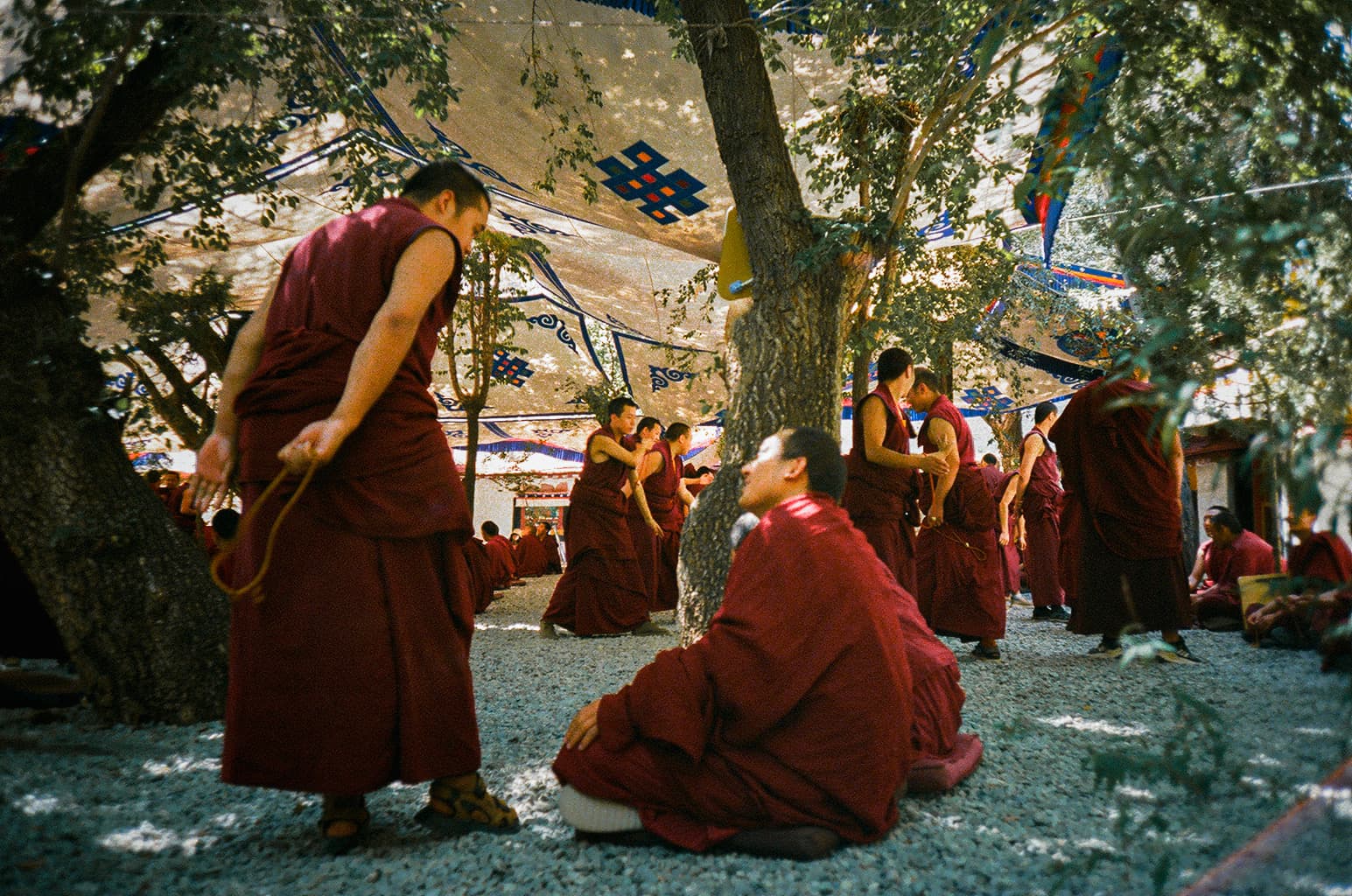lhasa - 11 2