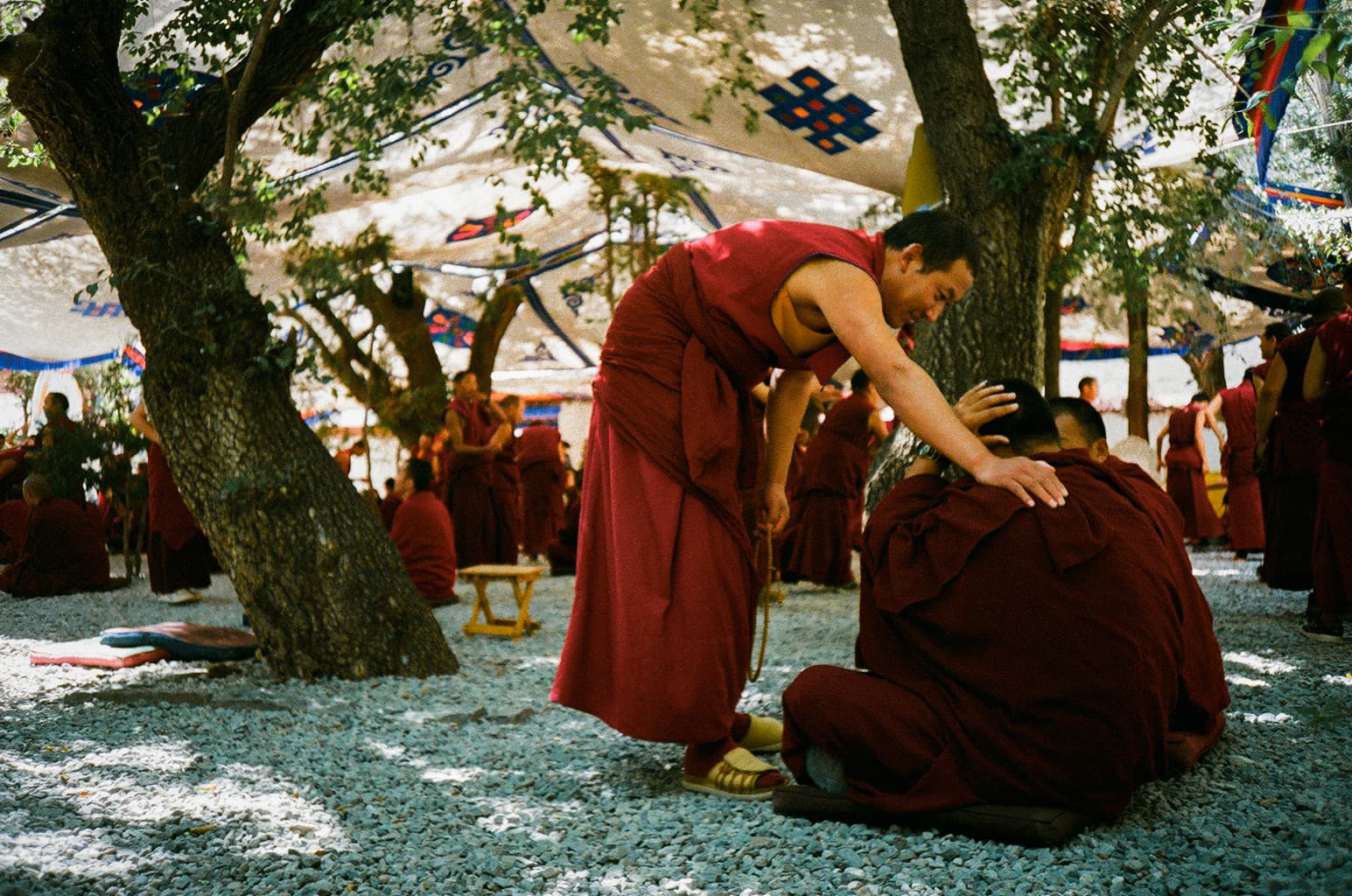 lhasa - 12