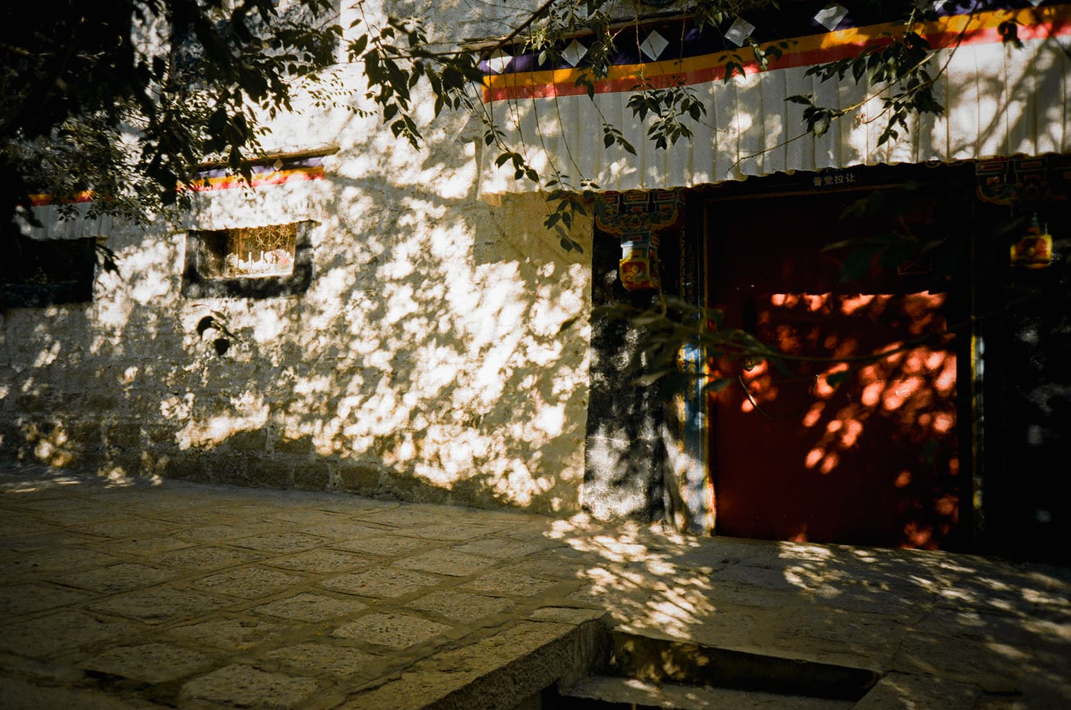 lhasa - 20 2
