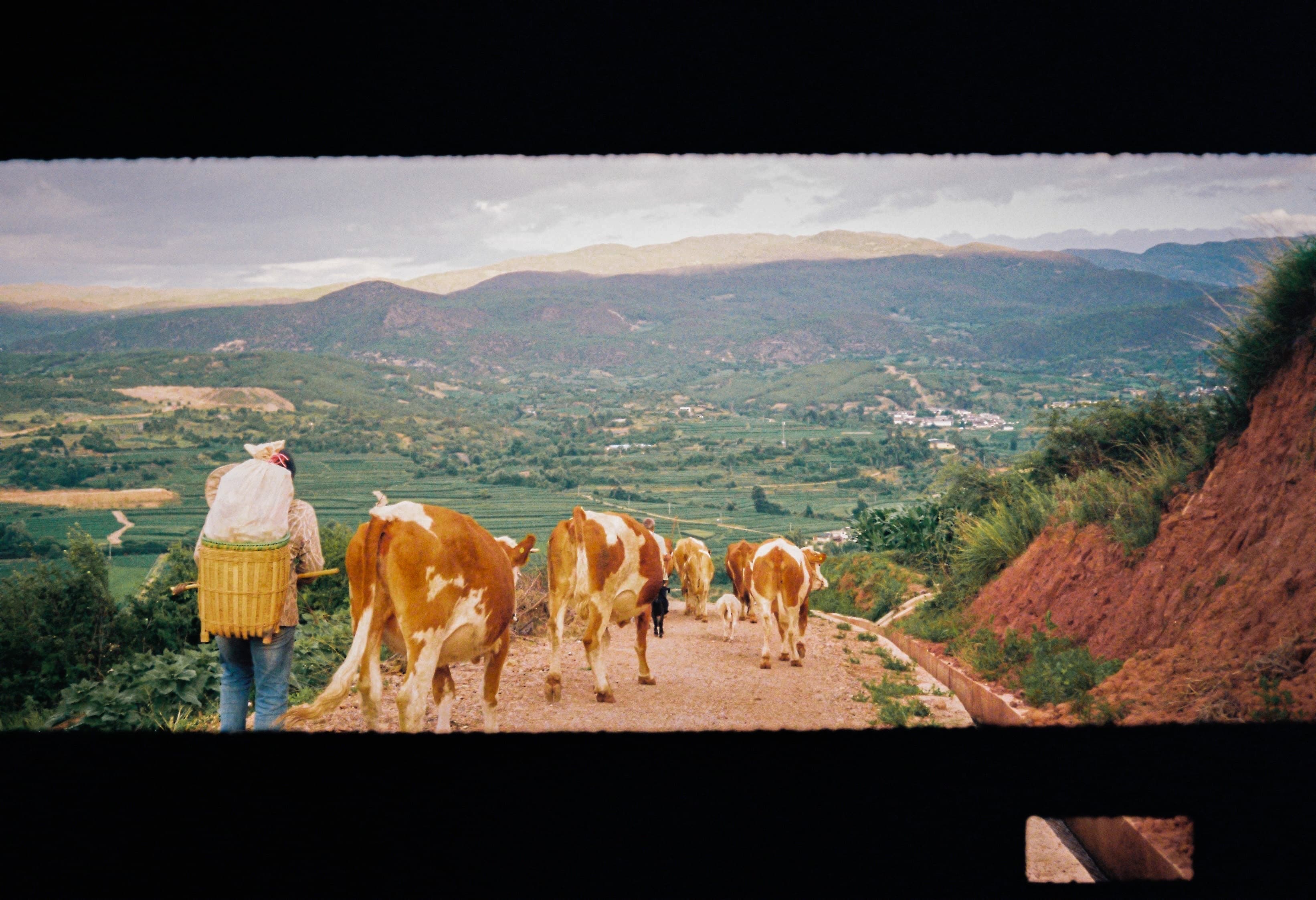 shaxi - 02