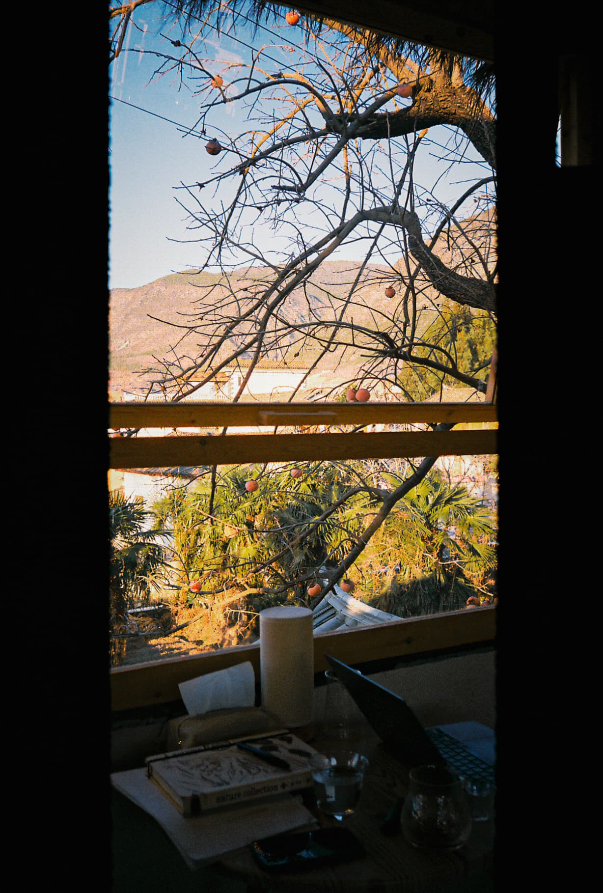 shaxi - 04